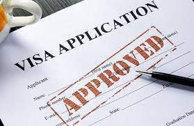 Get Visa assistance online